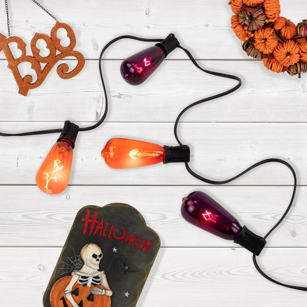 Northlight Edison Style Halloween Lights - Purple - 9' Black Wire - 10ct