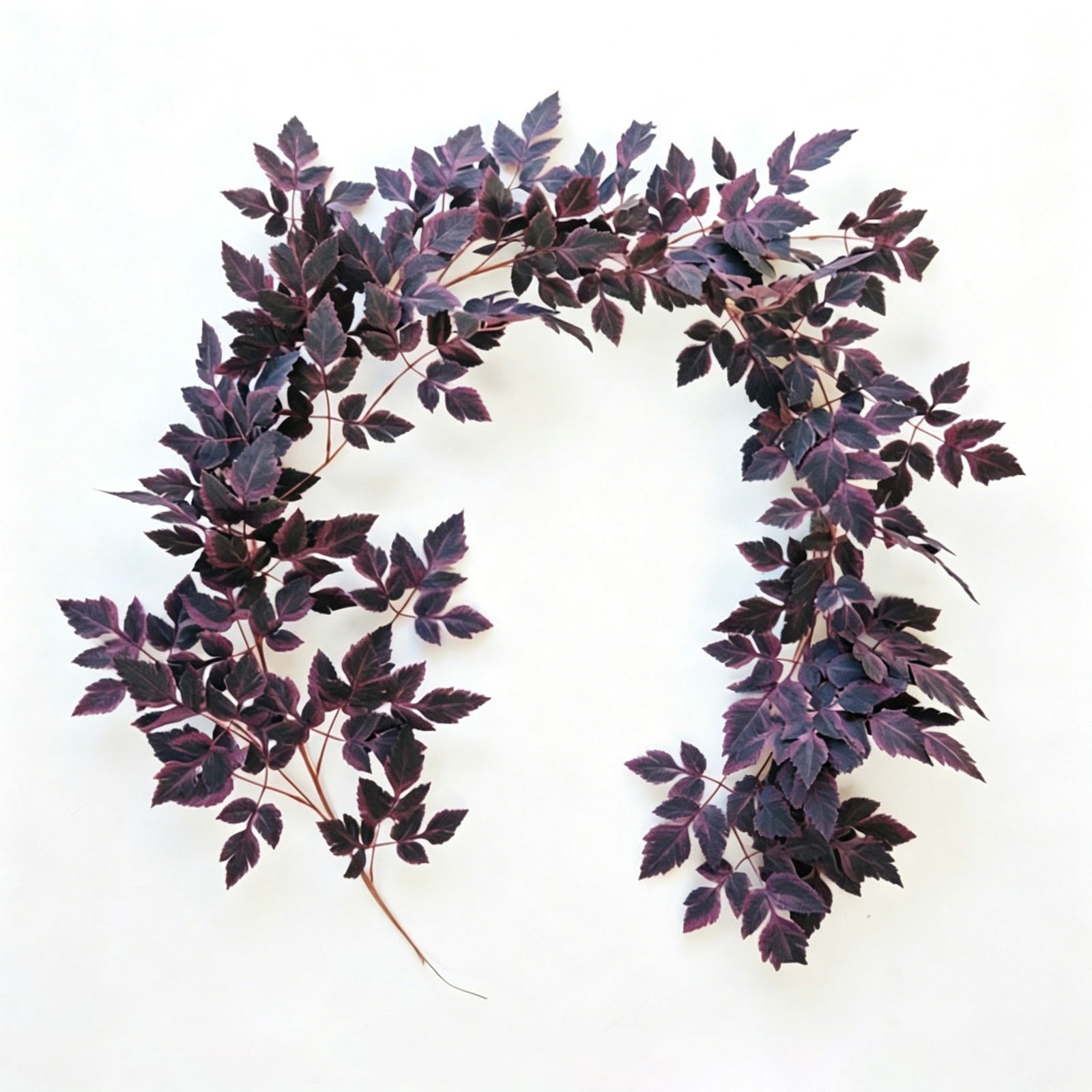 AZXY 5 Pack 37"Artificial Purple Wisteria Hanging Vines Halloween Decorations Indoor Outdoor,Halloween Party Decor,Yard Wall Porch Hanging Greenery Garland Halloween Decor Supplies for Holiday Layout