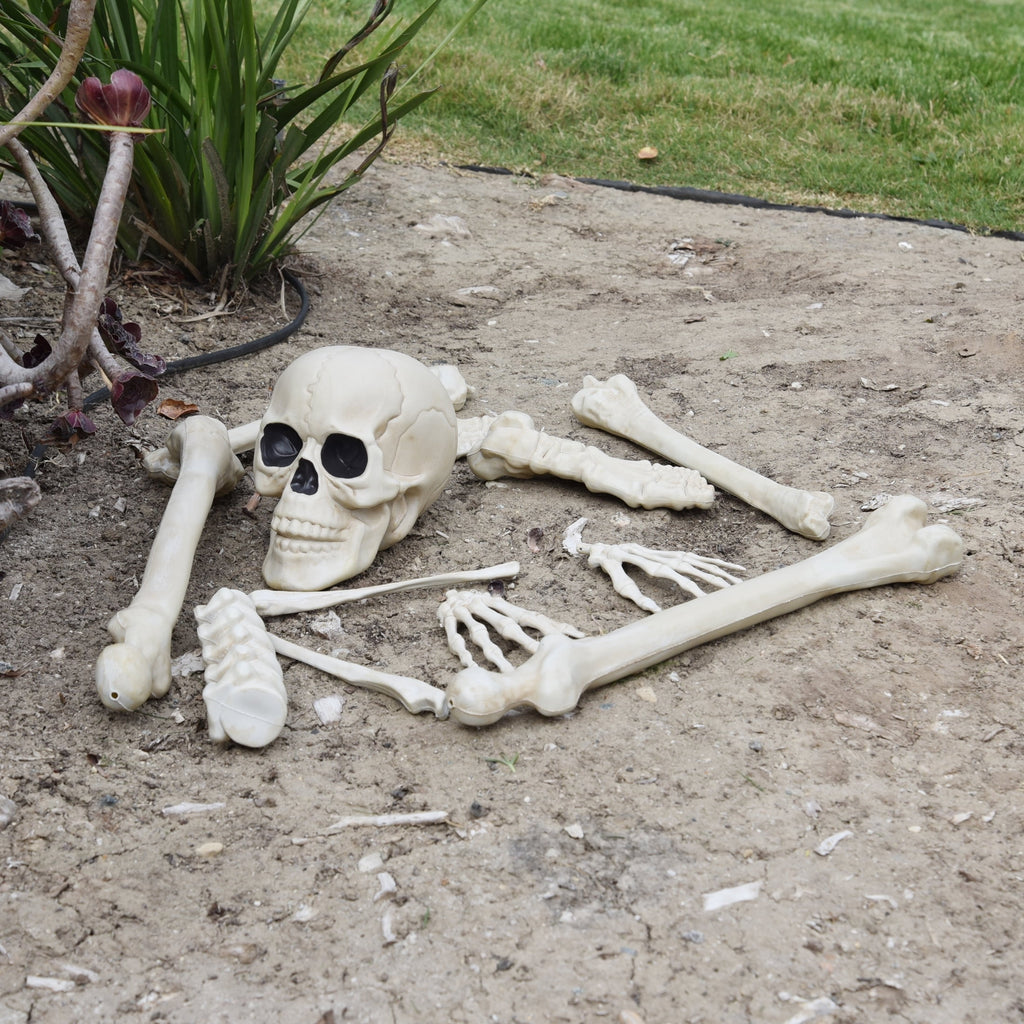 Faux Bag of Bones, 12 Pieces, Halloween by Way To Celebrate