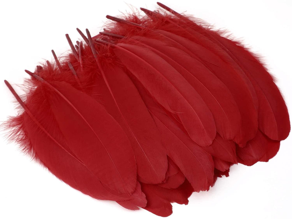 600PCS Red Feathers, 3-4.7 inch Feathers Bulk for DIY Crafts Wedding Halloween Costume Party Decorations Dream Catcher Supplies