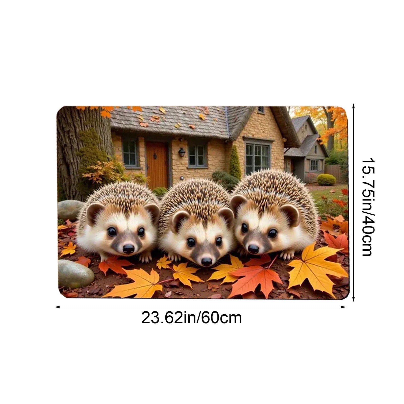 Autumn Door Mat for Entryway, 16x24 Inch, Fall-Themed Floor Doormat for Home Decor, Non-Slip Rug Mat for Living Room, Kitchen, Bedroom, Gifts for Fall Lovers (E)