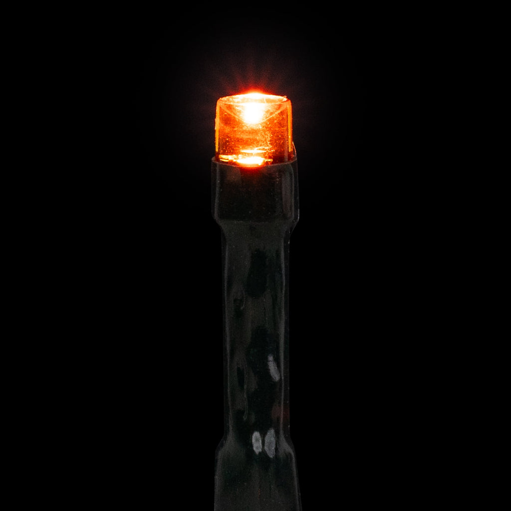 Northlight LED Wide Angle Halloween Lights - Orange - 10' Black Wire - 20ct