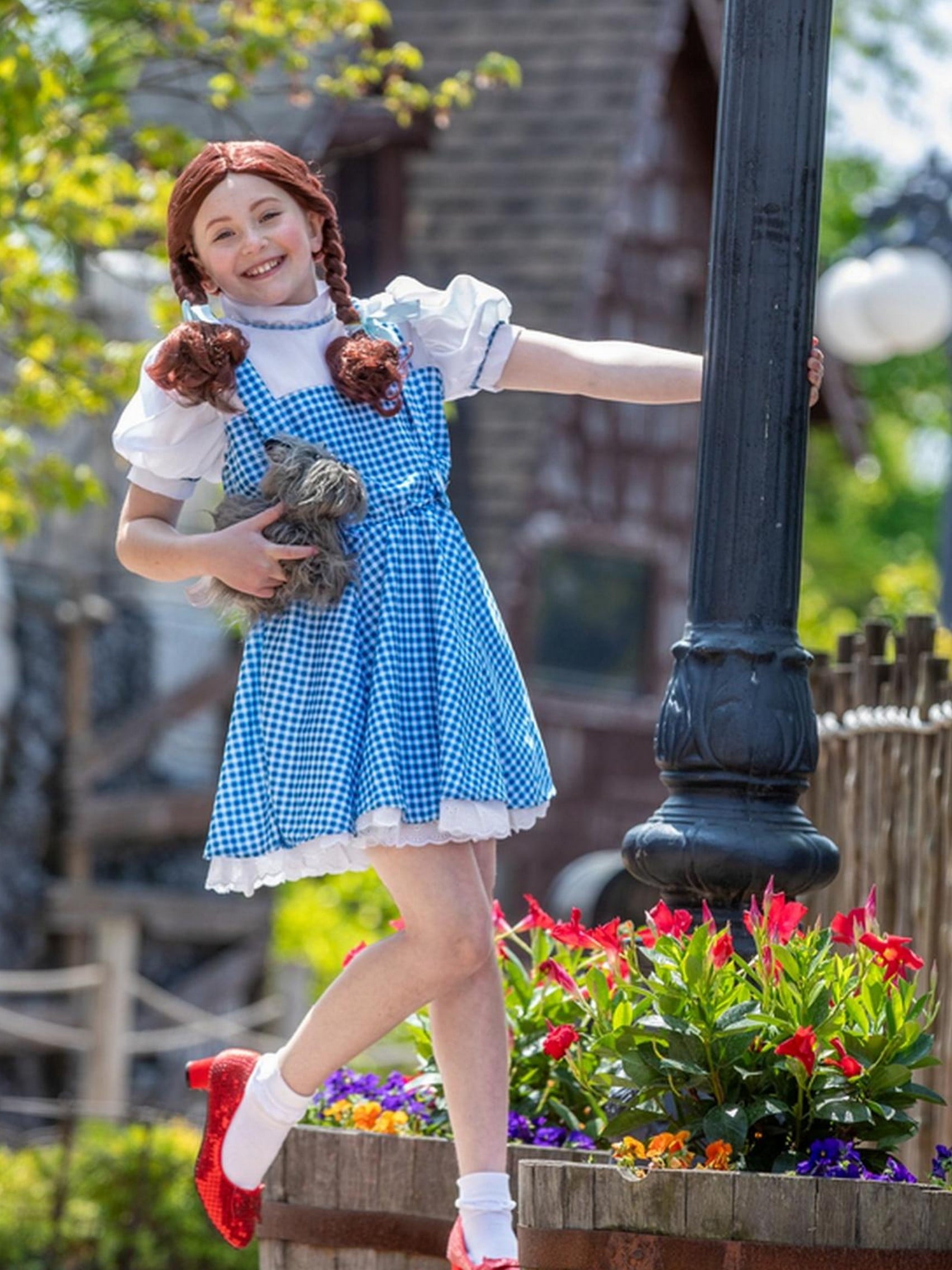 The Wizard of Oz Dorothy Deluxe Costume for Kids by Rubies, Girls XS