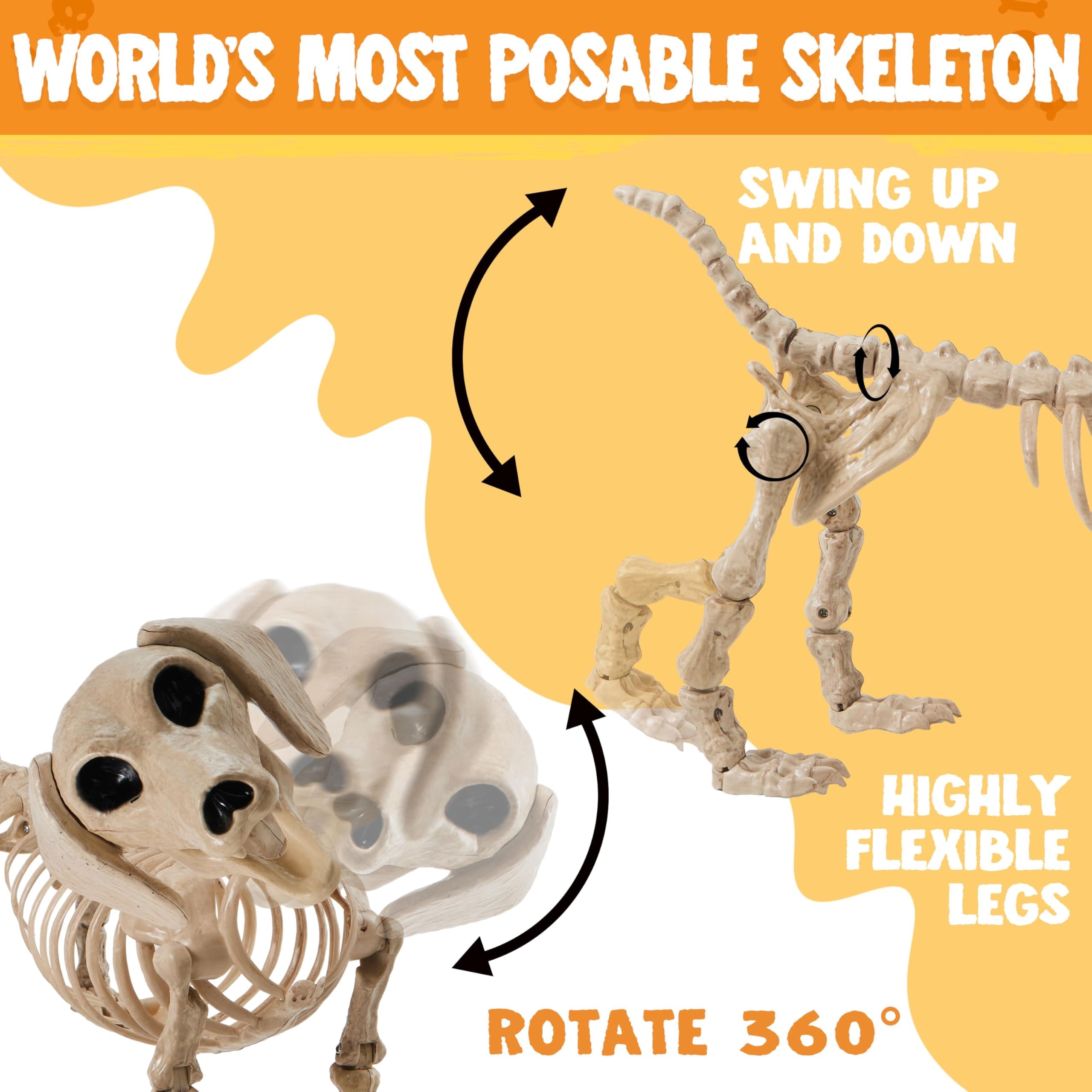 Joyfy 9.8 Inch Halloween Skeleton Dog Skeleton Halloween Decor,Pose-N-Stay Plastic Skeleton Bones with Posable Joints for Hallowmas Decoration Outdoor Haunted House Party