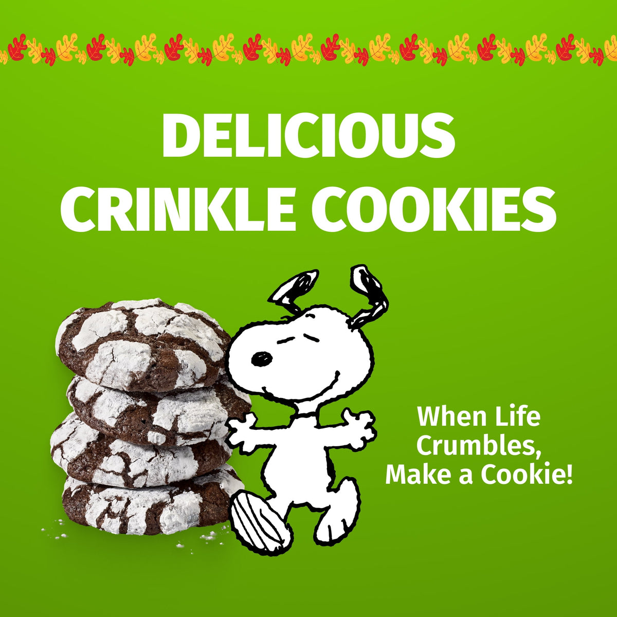 DUNCAN HINES SNOOPY CRINKLE COOKIE MIX 18.3Z