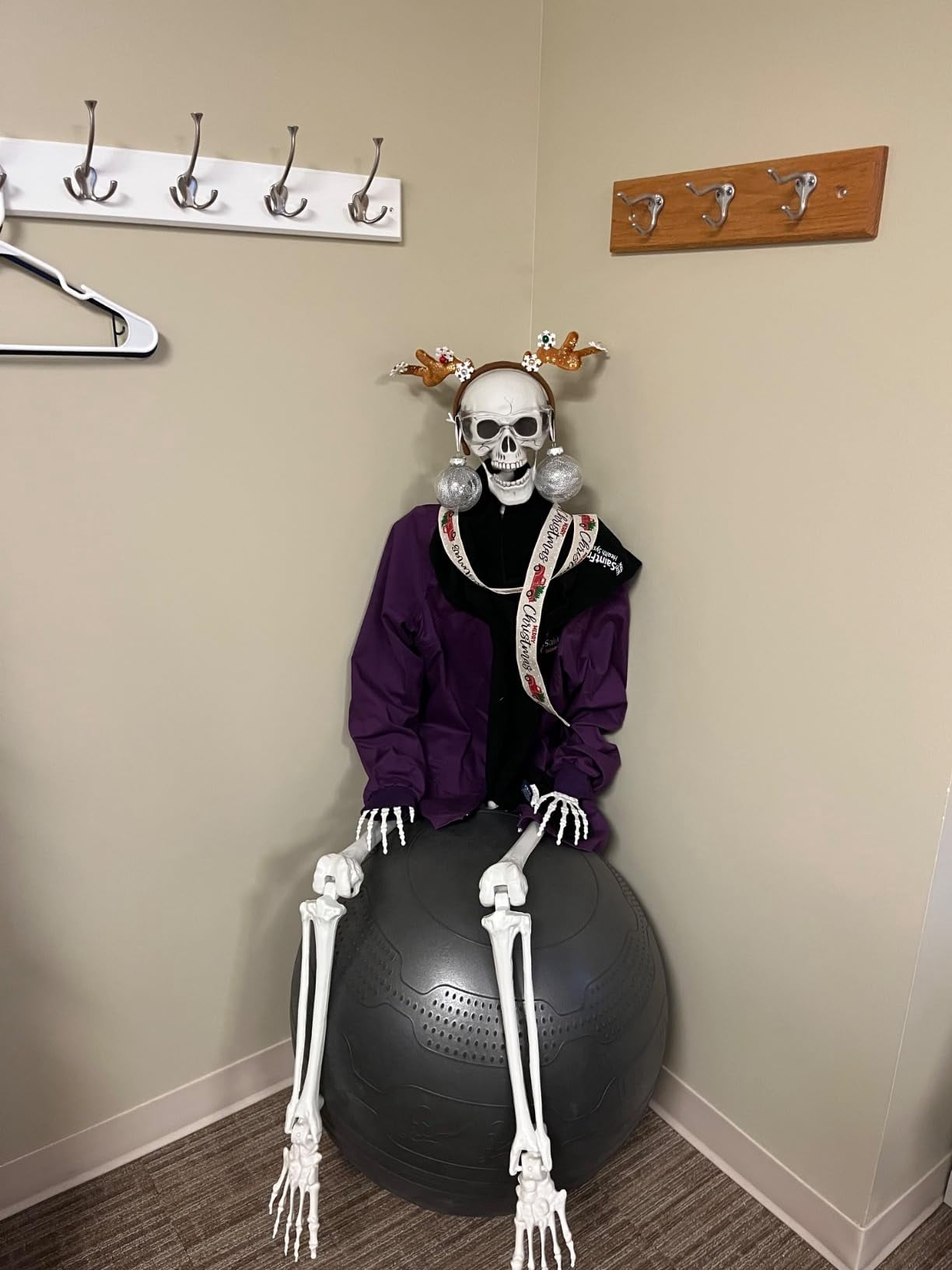 AGCAN 4 Packs Posable Halloween Hanging Skeleton Decoration, 16 Inch Halloween Decorations with Movable Joints for Graveyard Haunted House Props Decor Indoor Outdoor