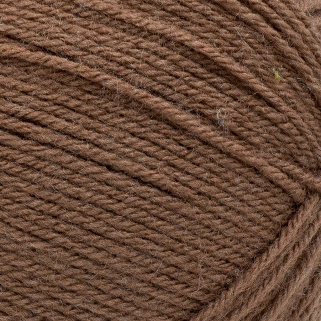 Lion Brand Yarn Pound of Love Pastel Green 4 Medium Worsted Yarn Green 16 oz 1020 yards