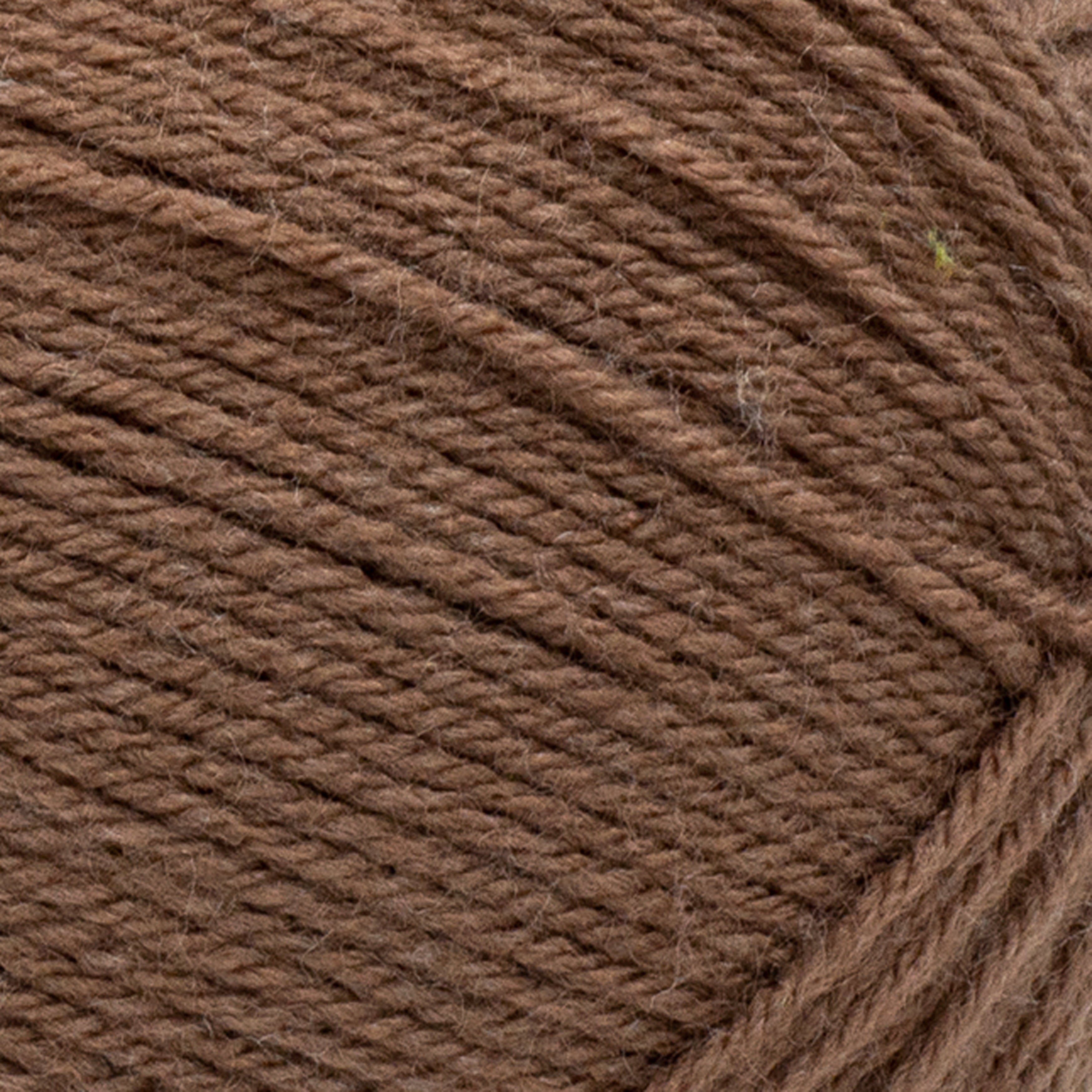Lion Brand Yarn Pound of Love Pastel Green 4 Medium Worsted Yarn Green 16 oz 1020 yards