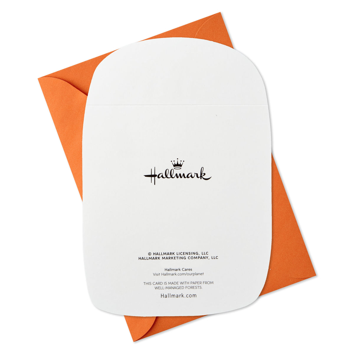 Hallmark Halloween Cards (Jack-o'-Lantern Smile), 6 Count