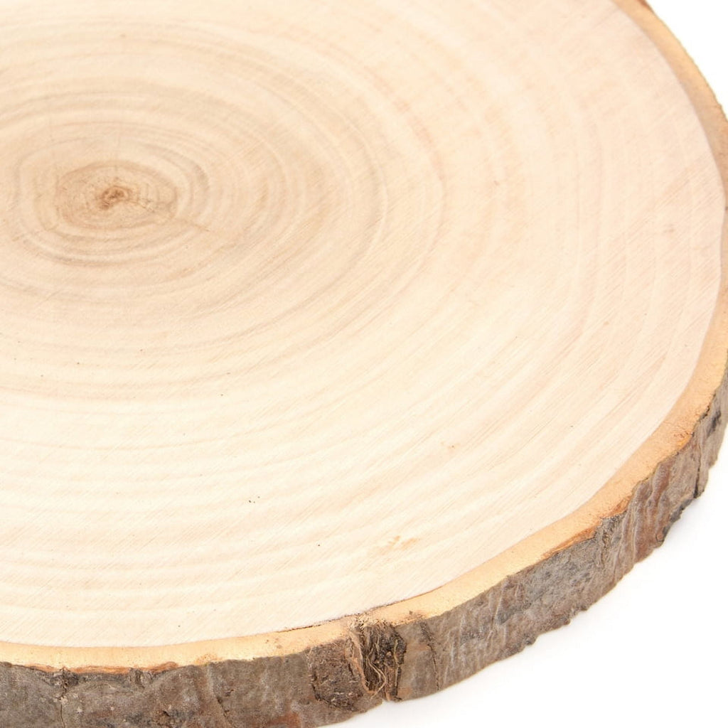 Hello Hobby 10 inch Round Rustic Poplar Wood with Bark Plaque