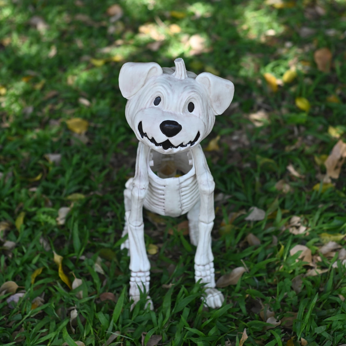 Seasons Crazy Bonez Pumpkin Dog Skeleton for Halloween Decor