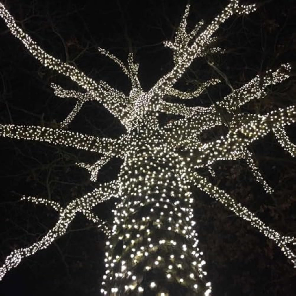 Wick's Outdoor Living LED 5MM Multi-Color Holiday Lights, 50 FT in length, 150 CT, and 6 different color options