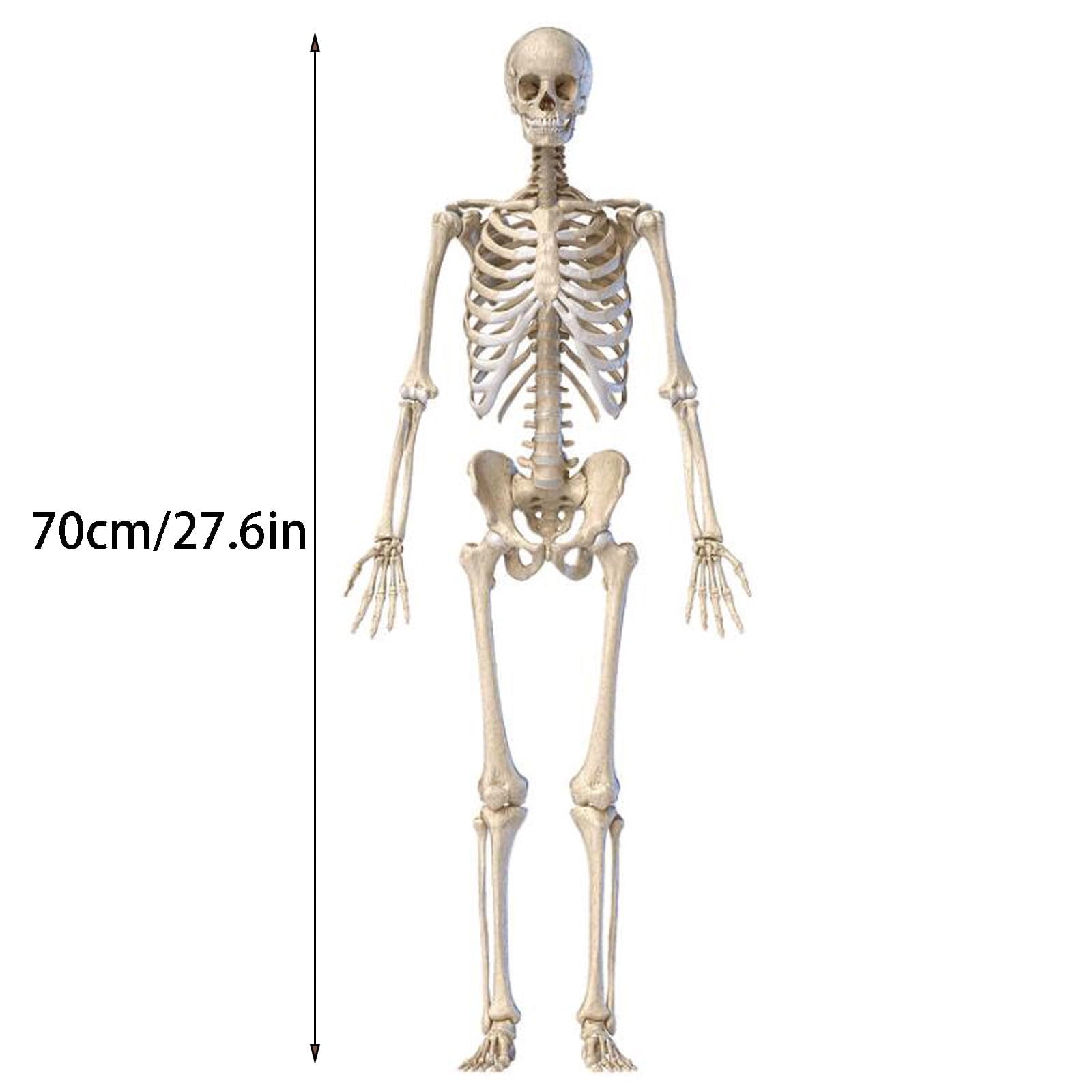Ruziyoog Halloween Skeleton Ghosts Grim Reapers for Halloween Decorations