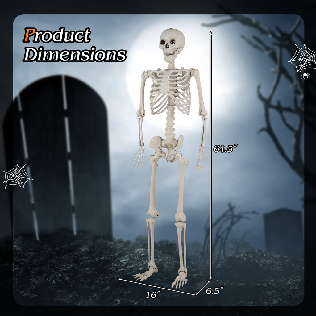 Costway 5.4ft Halloween Christmas Skeleton Life Size Realistic Full Body Hanging with Movable Joints 63 Inches