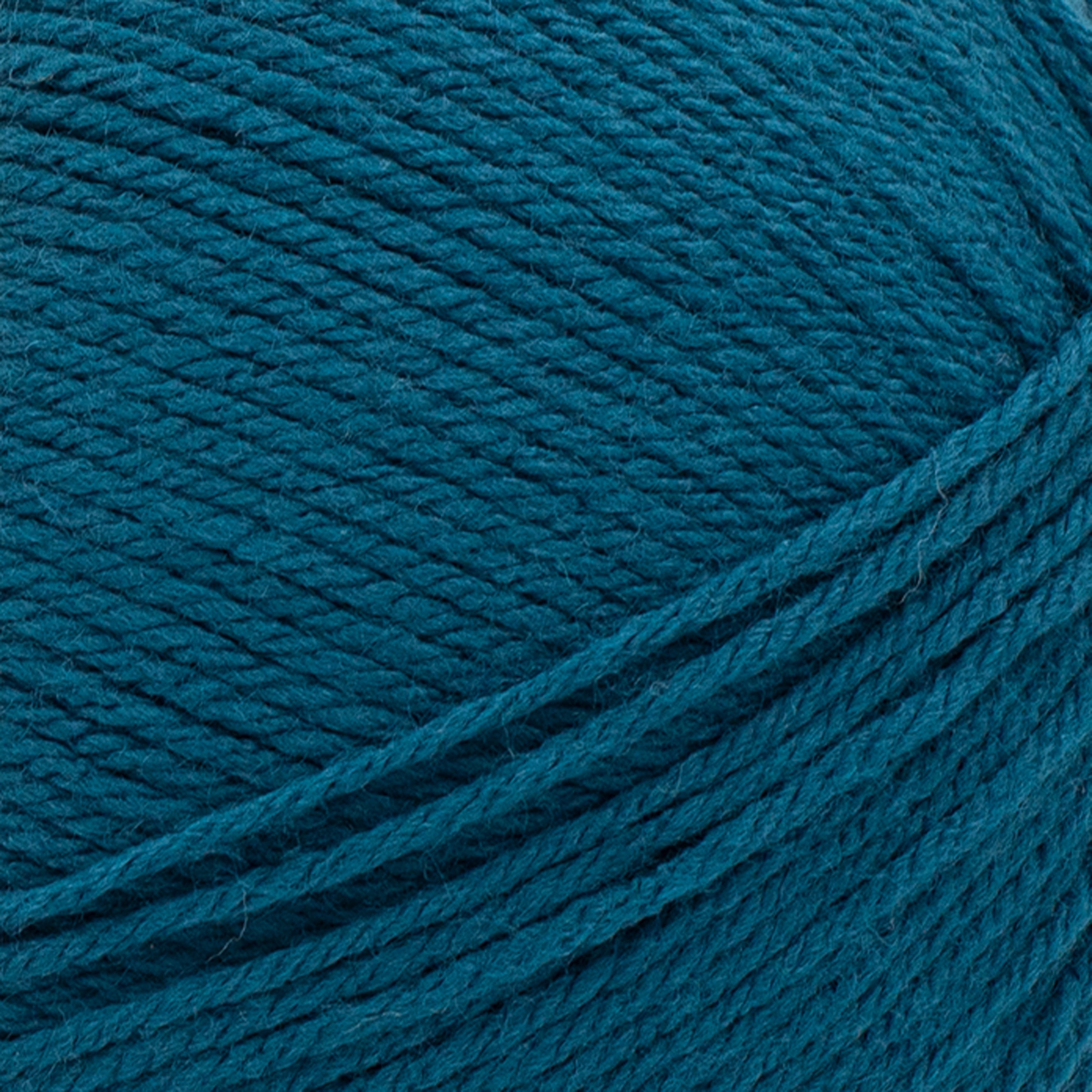 Lion Brand Yarn Pound of Love Pastel Green 4 Medium Worsted Yarn Green 16 oz 1020 yards
