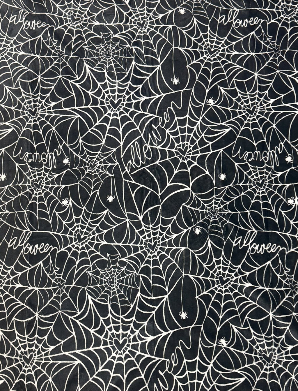 Serafina Home Halloween Throw Blanket: Fuzzy Boo! Jack O'Lantern Spider Webs Skull and Black Cats Print on Velvet Fleece for Sofa Bed Couch Chair Dorm