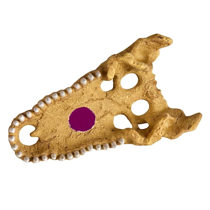 Zilla Rapid Sense Decor Crocodile Skull