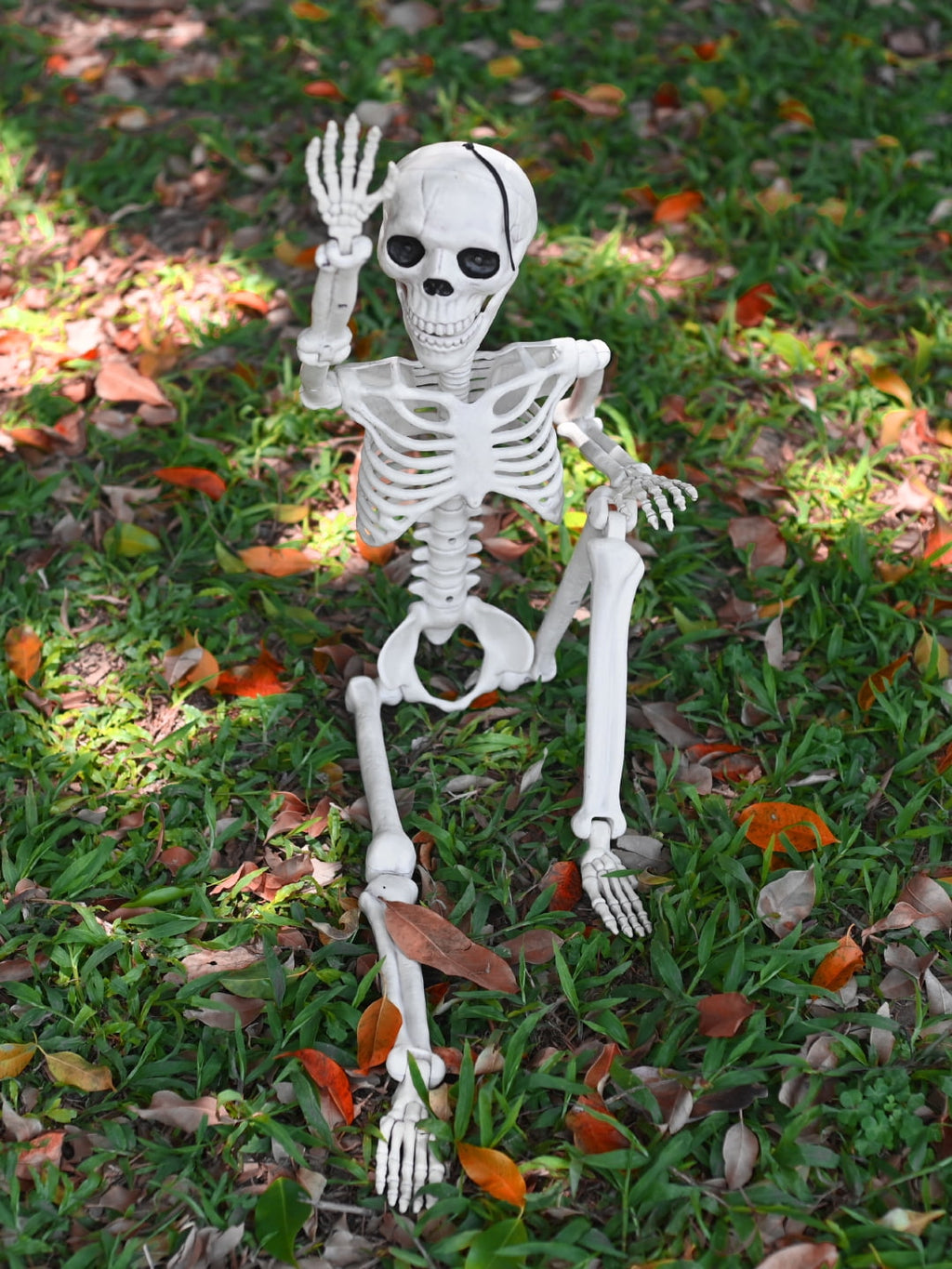 Seasons 36" Animated Posable Skeleton, Light Up Eyes and Sound with Motor Mouth, Halloween Decoration for Crazy Bonez Skeleton Line