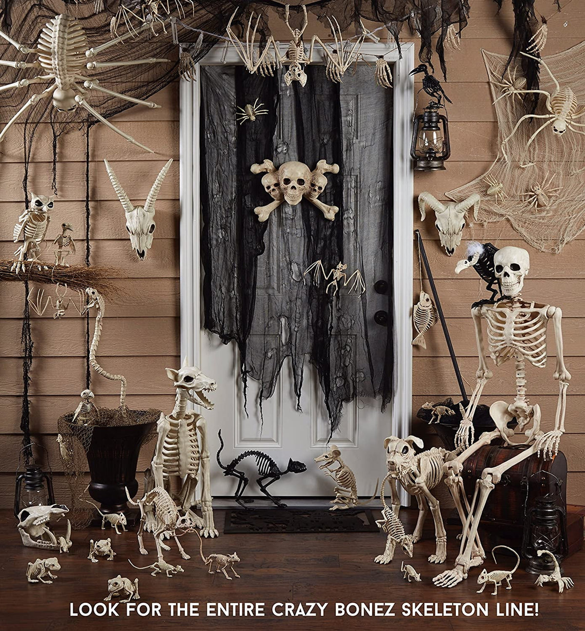 Seasons Prelit Animated Wiener Dog Skeleton Halloween Decor