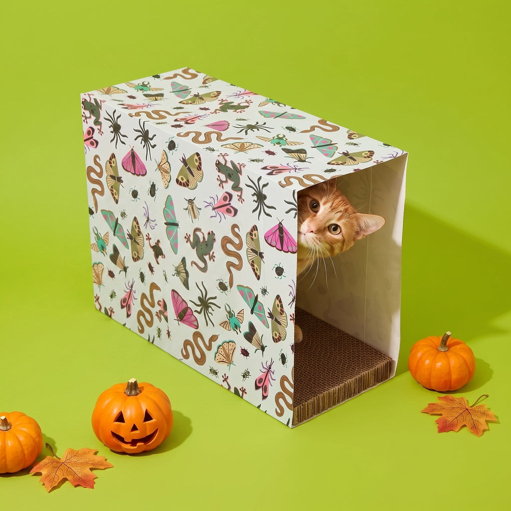 Vibrant Life Halloween Paper Bag with Cat Scratching Pad and Catnip, Creepy Critters, Multicolor