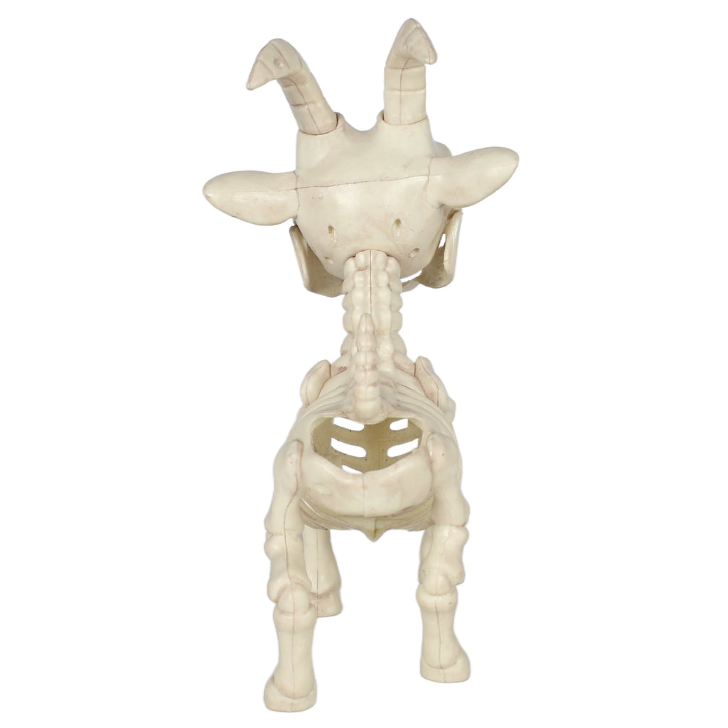 Seasons Skeleton Pygmy Goat Halloween Decoration for Crazy Bonez Skeleton Line