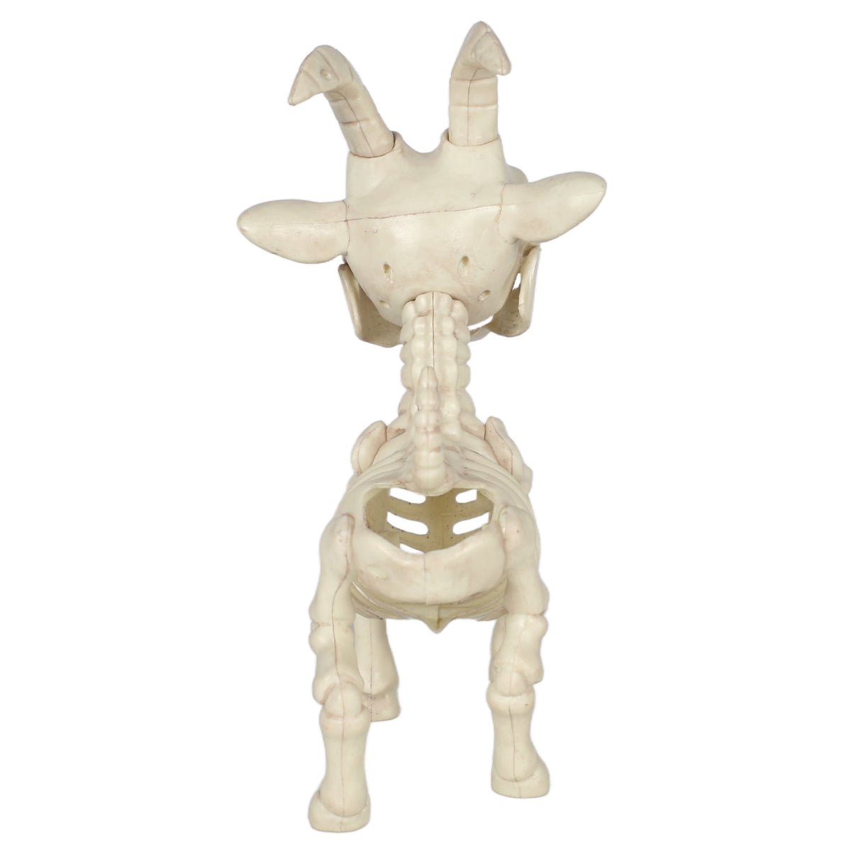 Seasons Skeleton Pygmy Goat Halloween Decoration for Crazy Bonez Skeleton Line
