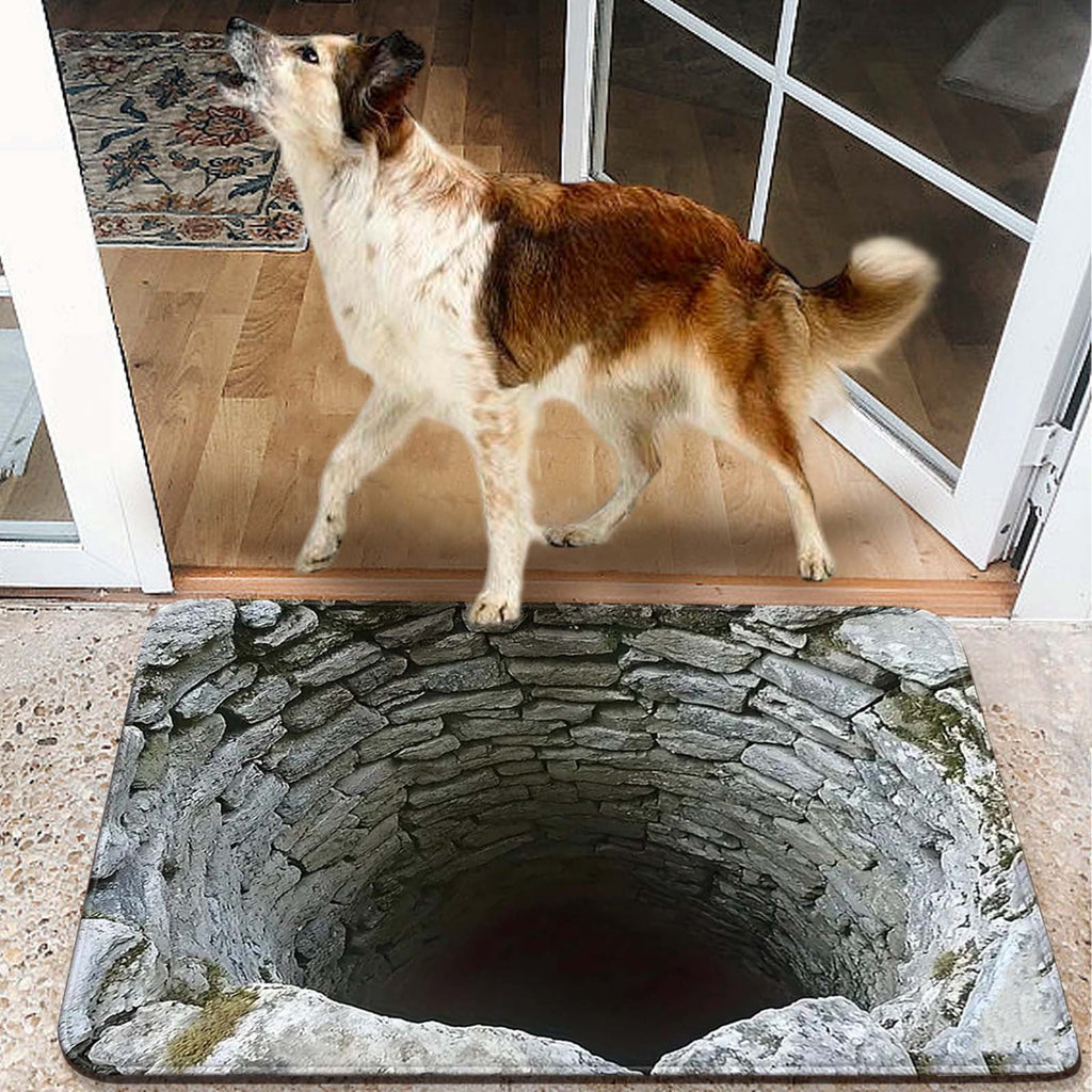 2026 New 3D Hole Rug, Rugs That Look like a Hole, Trap Optical Illusion Bottomless Non-slip Doormat for Door Entrance, Bathroom, Stairs, Playroom, Living Room, Or Area Decoration