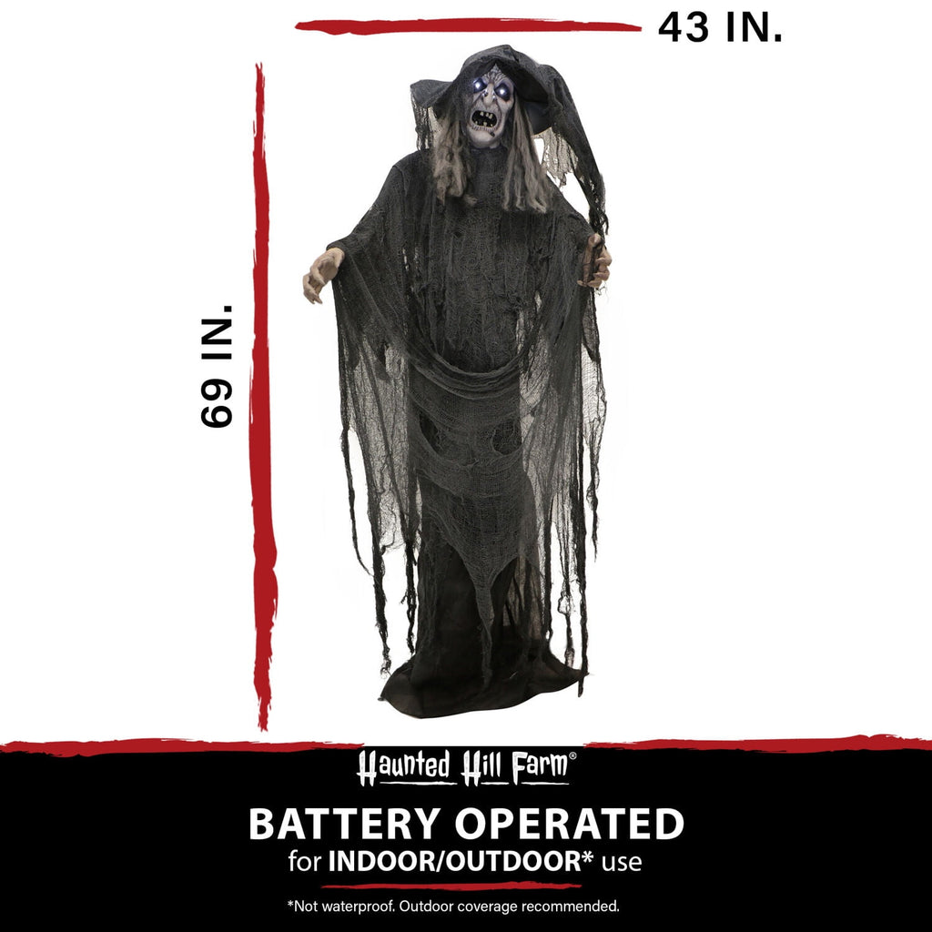 Haunted Hill Farm 5.75 ft Animatronic Witch Indoor/Covered Outdoor Halloween Decoration, HHWITCH-20FLSA