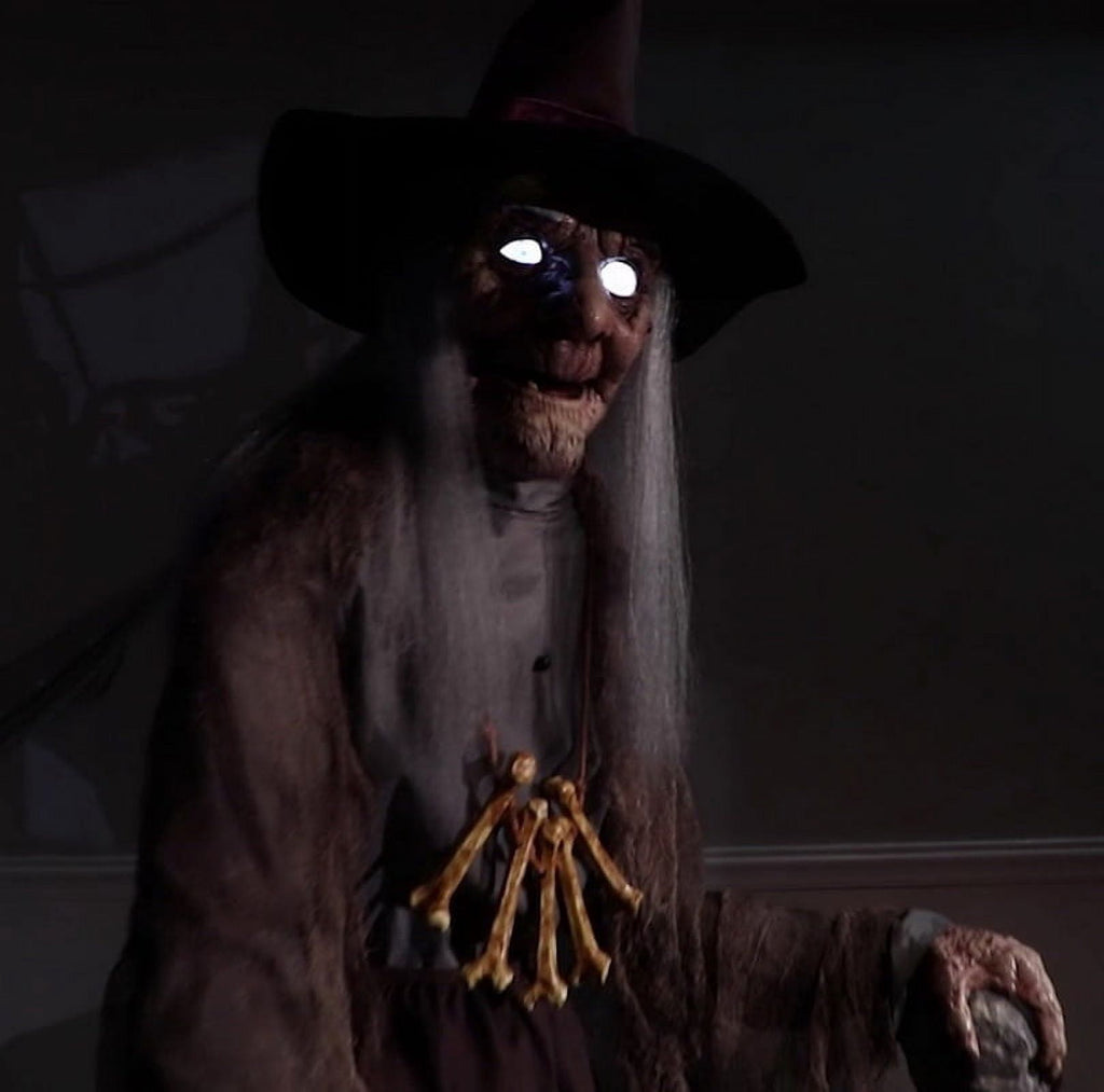 Seasonal Visions Animated Witch Servo-Motor Halloween Decoration -