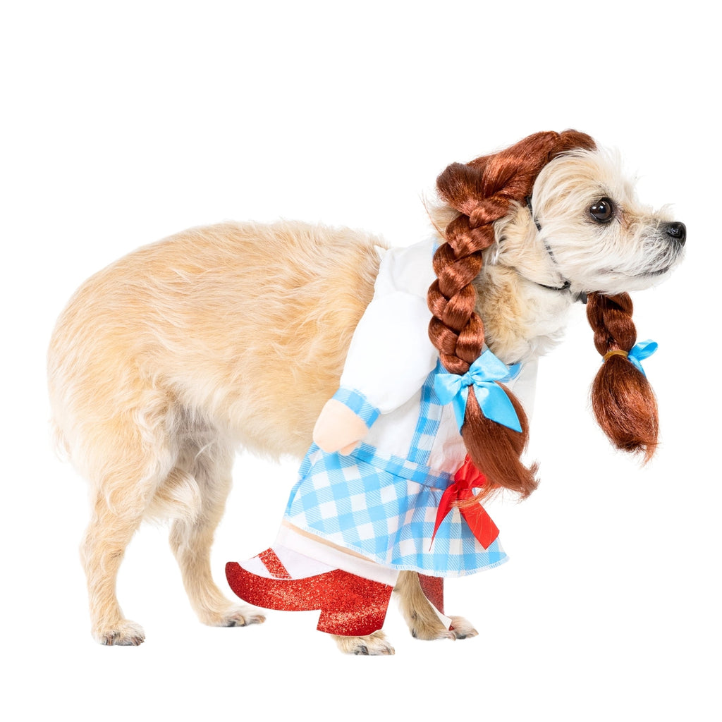 Vibrant Life Halloween Gingham Girl Costume for Dogs and Cats, Small