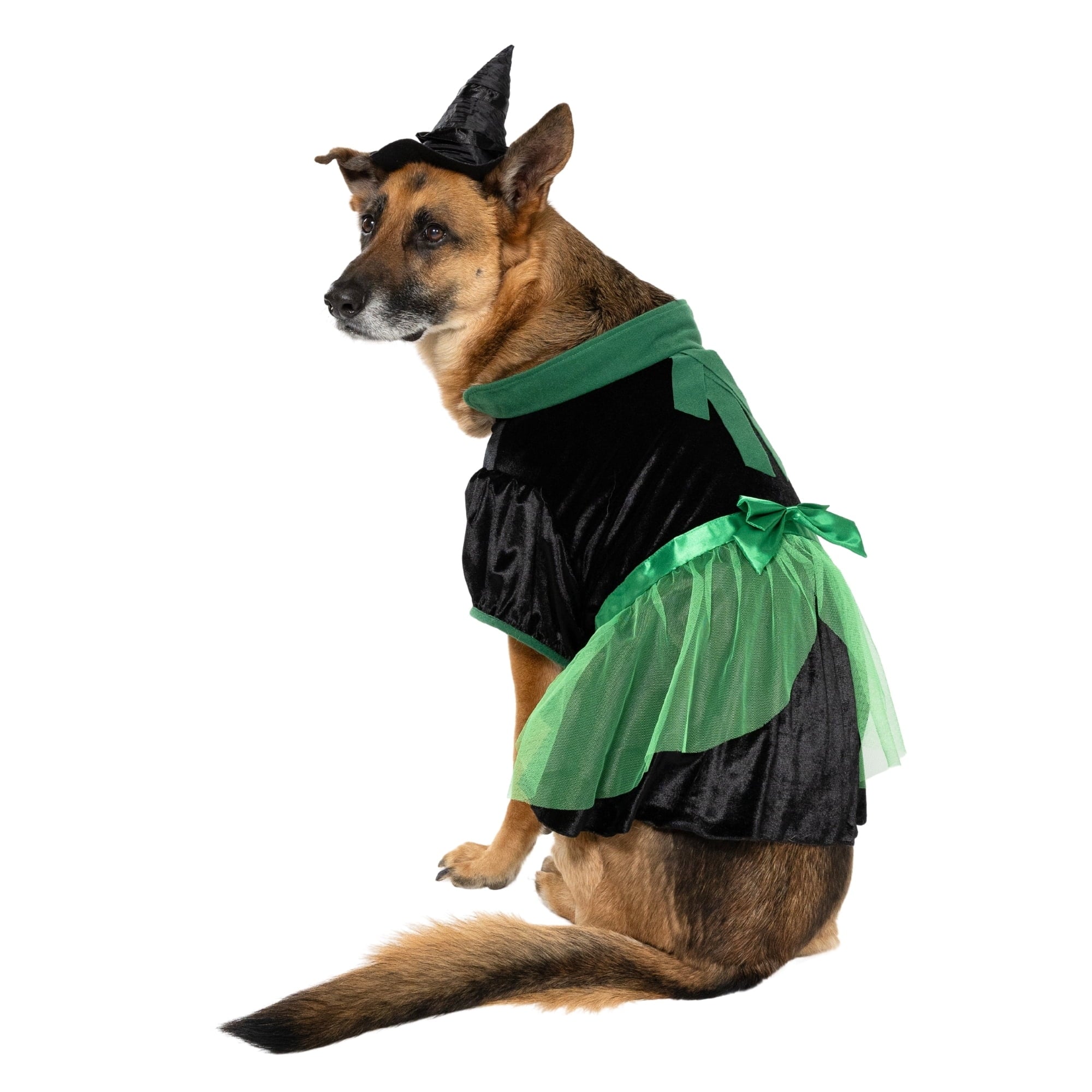 Vibrant Life Halloween Bad Witch Costume for Dogs, Green and Black, Extra Large