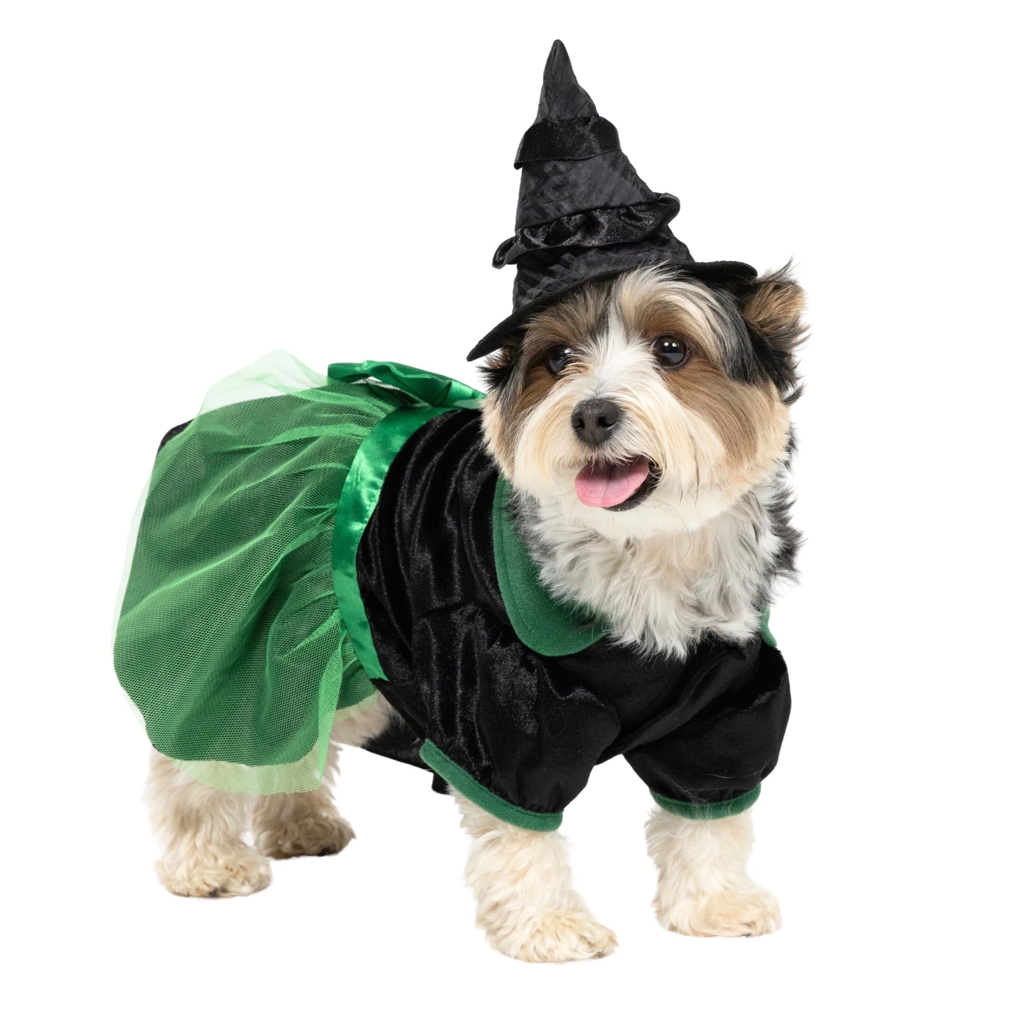 Vibrant Life Halloween Bad Witch Costume for Dogs, Green and Black, Extra Large