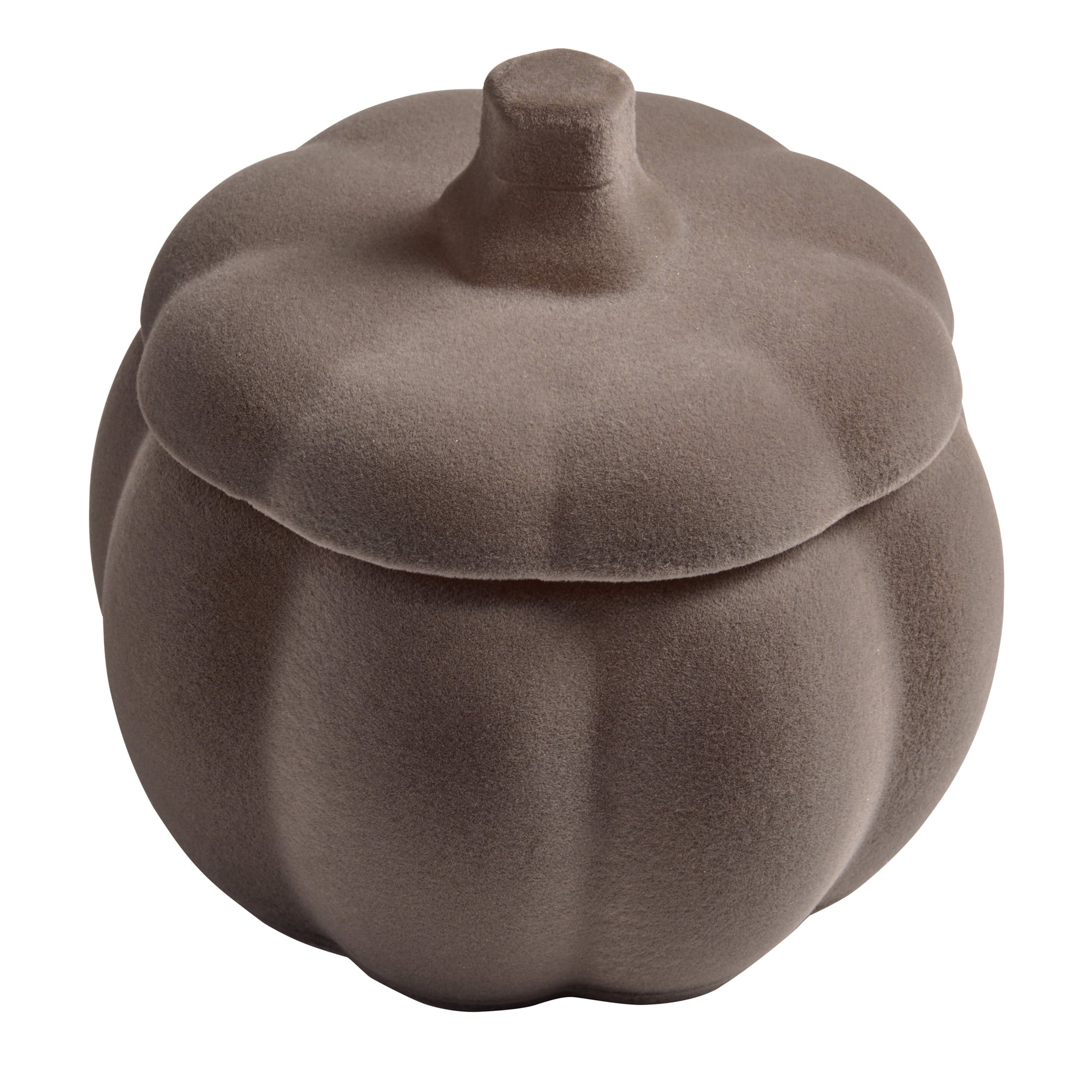 Better Homes & Gardens Flocked Pumpkin Jar Candle, Pumpkin Snickerdoodle Swirl, 2-Wick, 12.7 oz