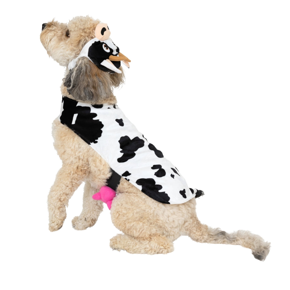 Vibrant Life Halloween Costume for Dogs & Cats, Cow, Black & White, Extra Small