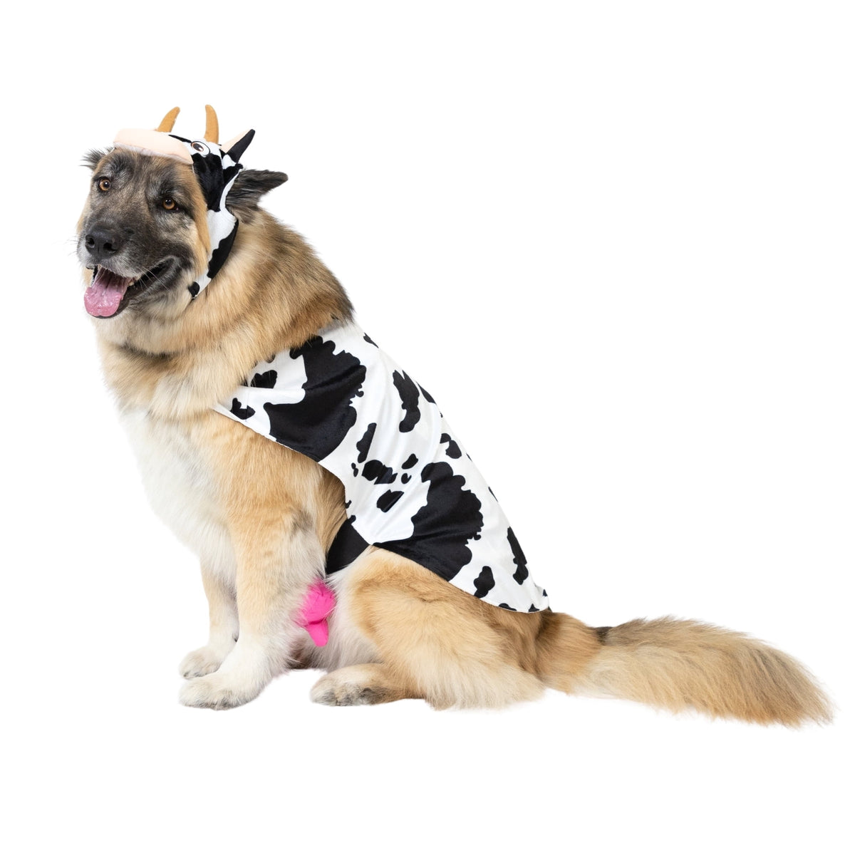Vibrant Life Halloween Costume for Dogs & Cats, Cow, Black & White, Extra Small