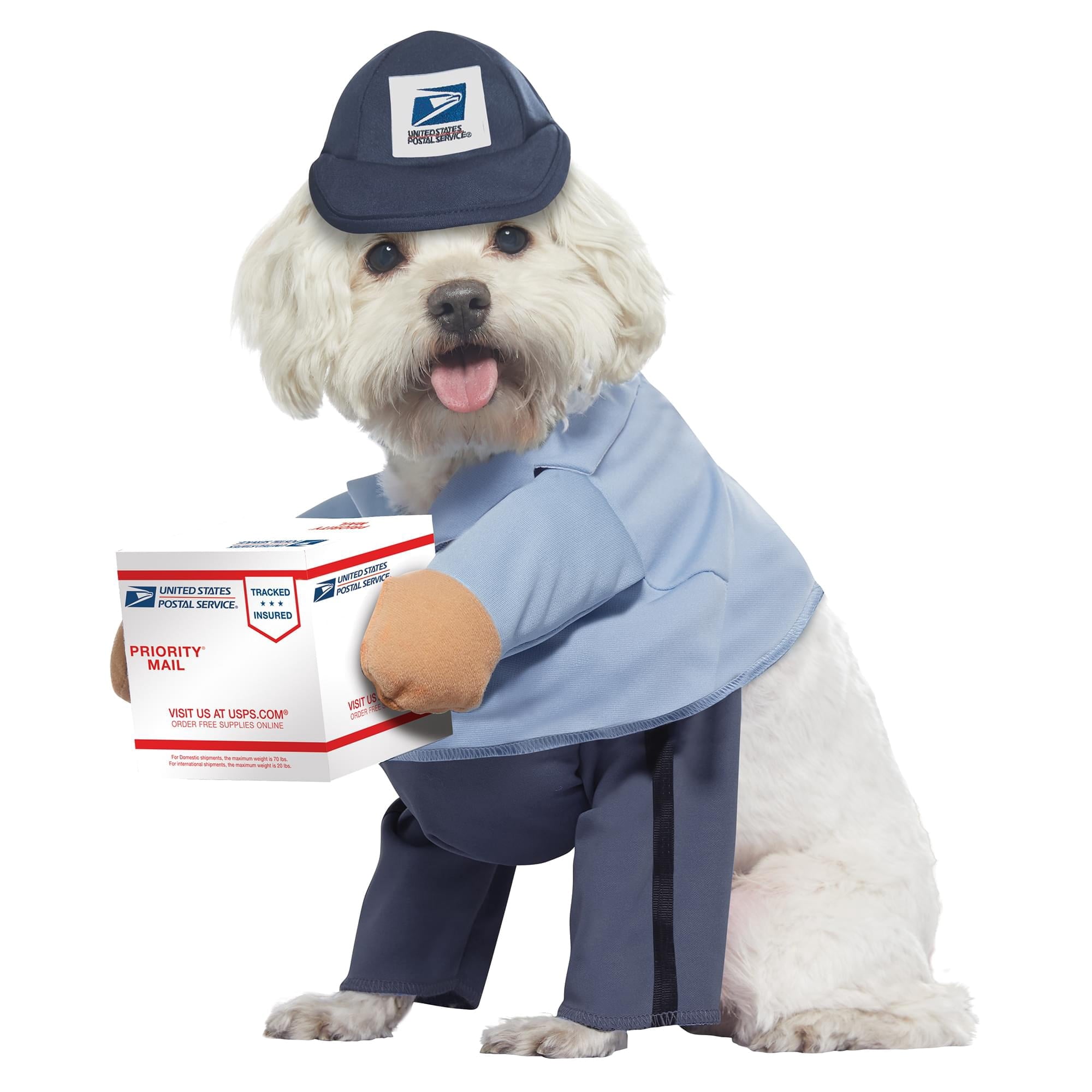 California Costumes US Mail Carrier Pup Dog Costume | Large Unisex
