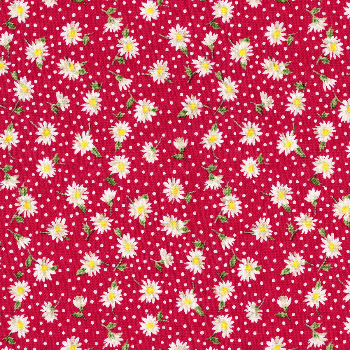 1 Yard 100% Cotton Daisies, Red, 44" Wide for Quilting & Sewing by David Textiles