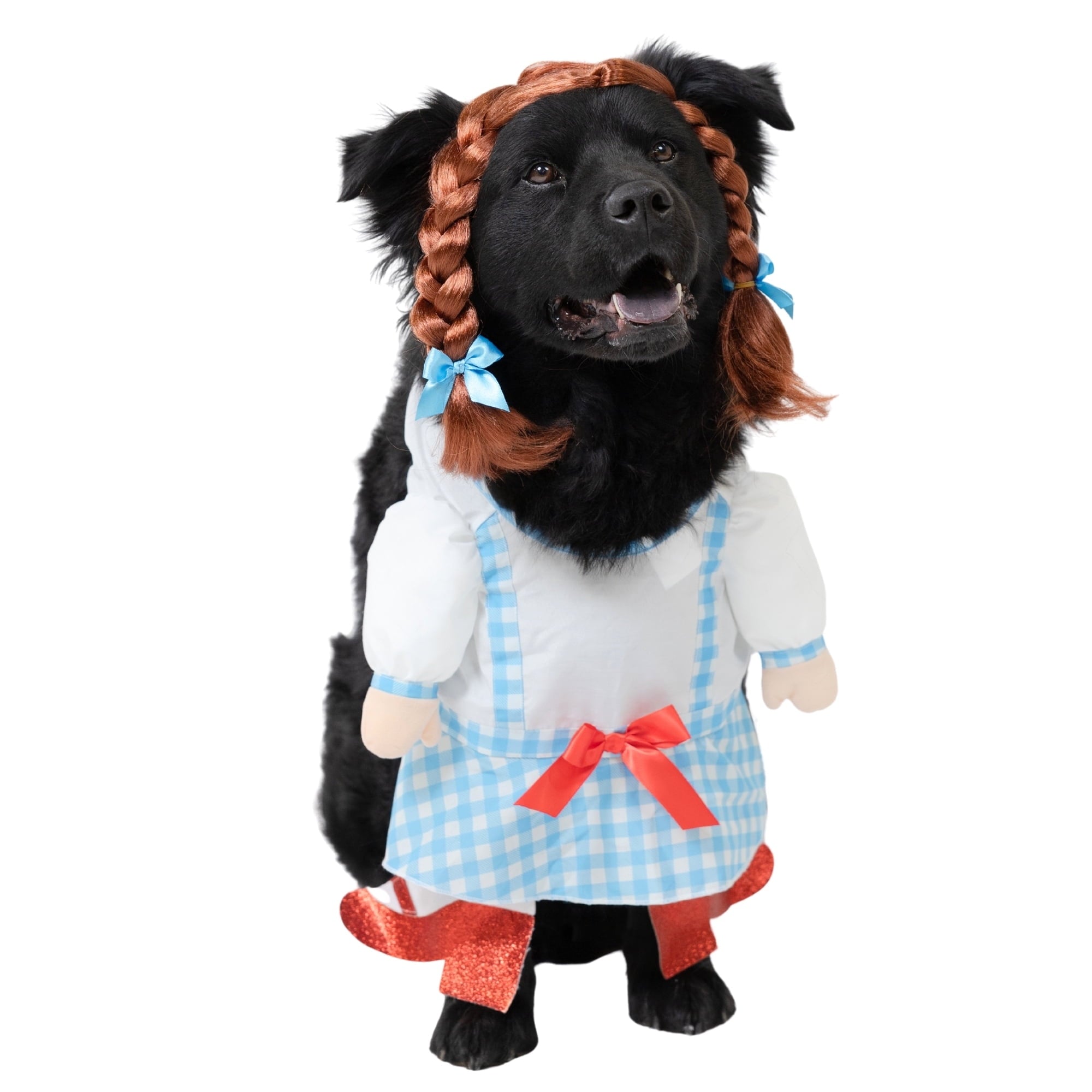 Vibrant Life Halloween Gingham Girl Costume for Dogs and Cats, Small