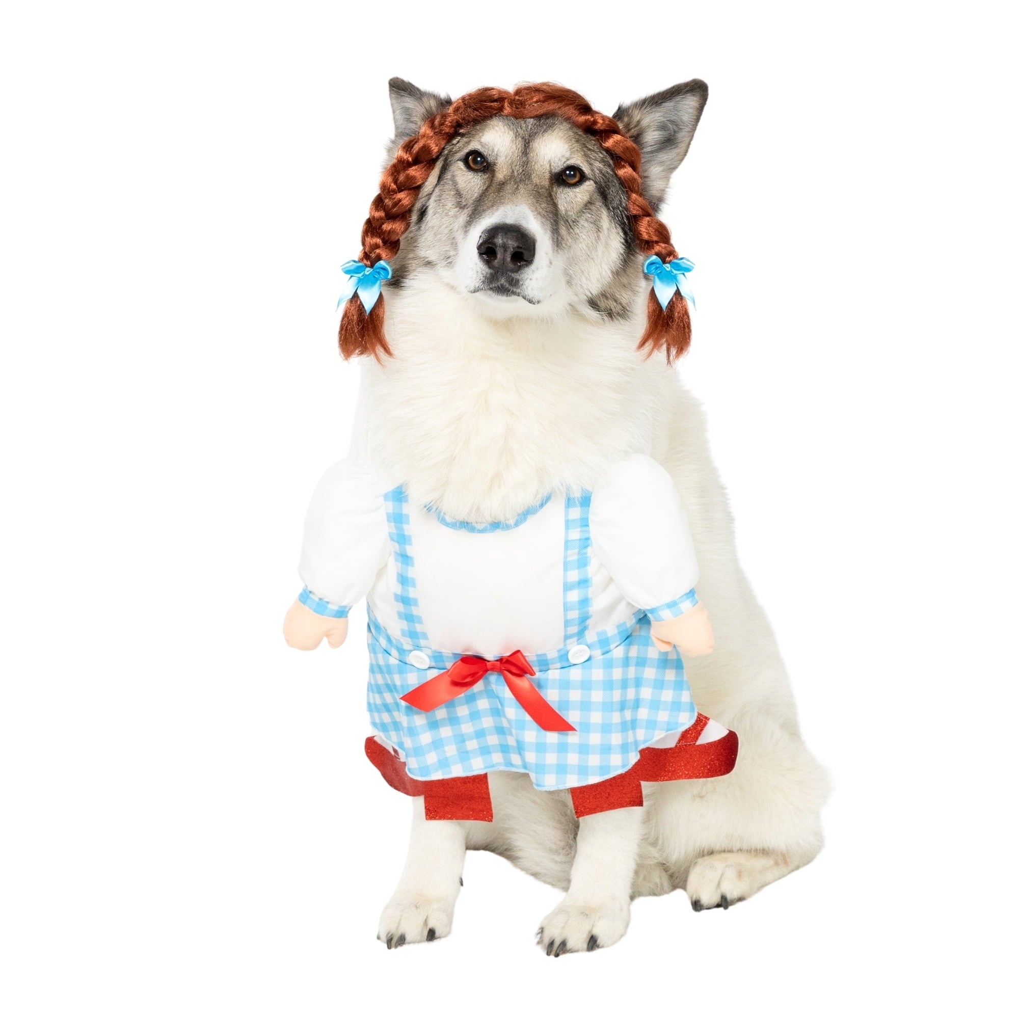 Vibrant Life Halloween Gingham Girl Costume for Dogs and Cats, Small
