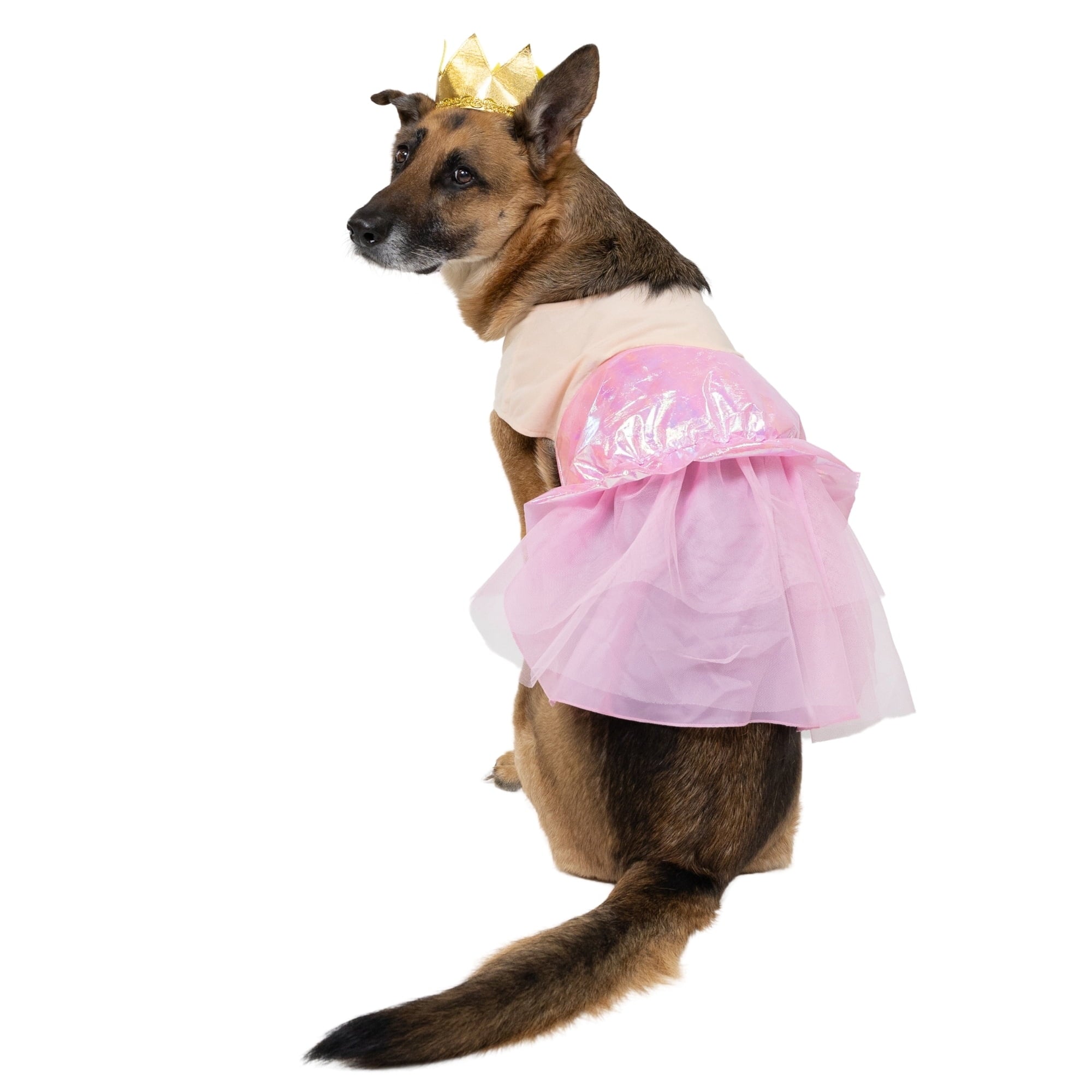 Vibrant Life Halloween Good Witch Costume for Dogs, Pink and Gold, Medium