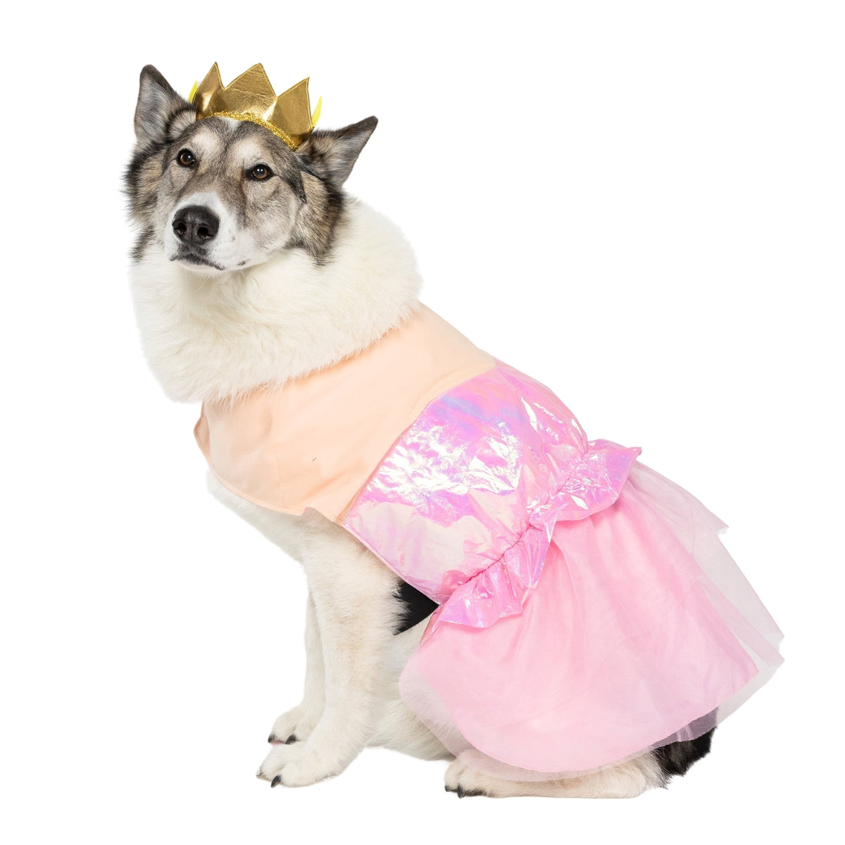 Vibrant Life Halloween Good Witch Costume for Dogs, Pink and Gold, Medium