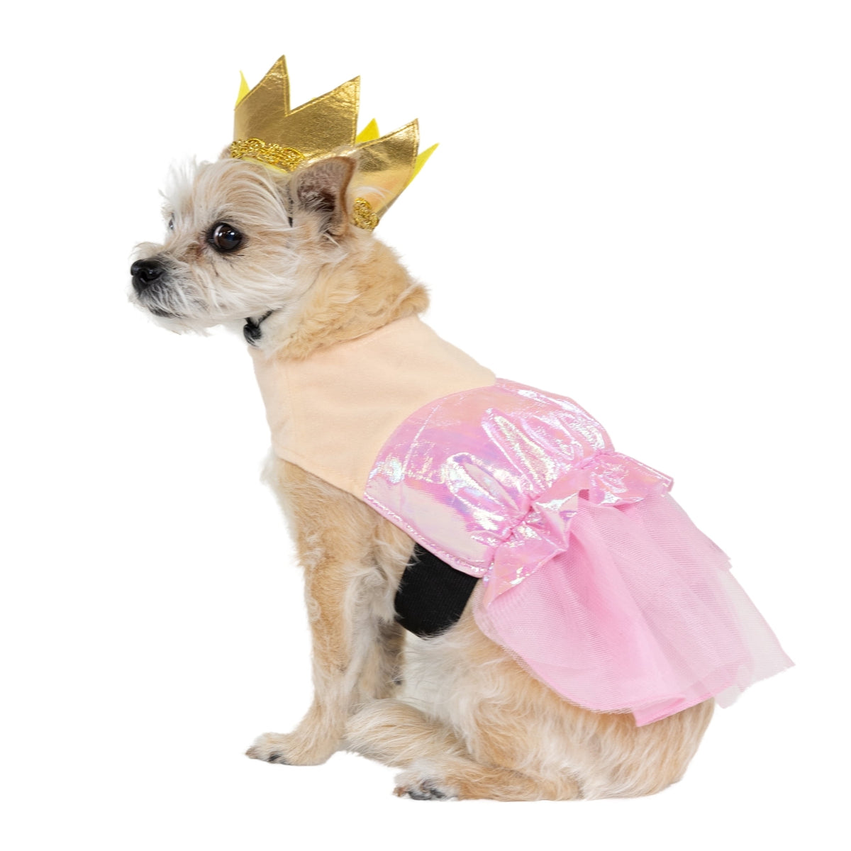 Vibrant Life Halloween Good Witch Costume for Dogs, Pink and Gold, Medium