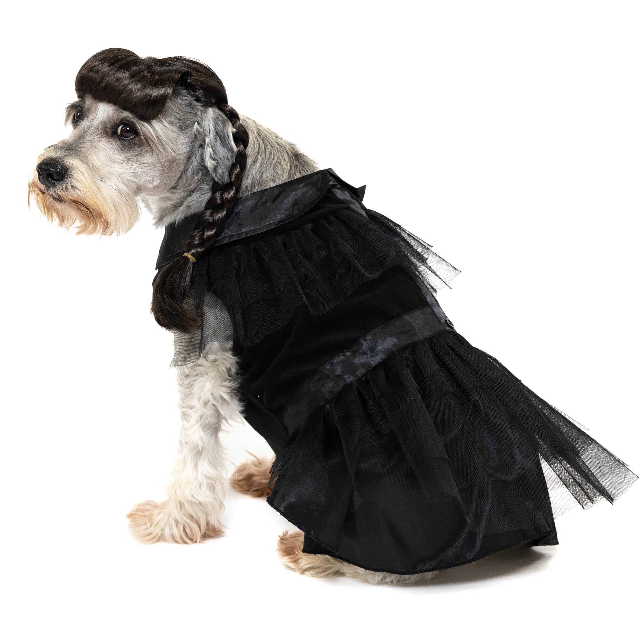 Vibrant Life Halloween Gothic Girl Costume for Dogs, Black, Large