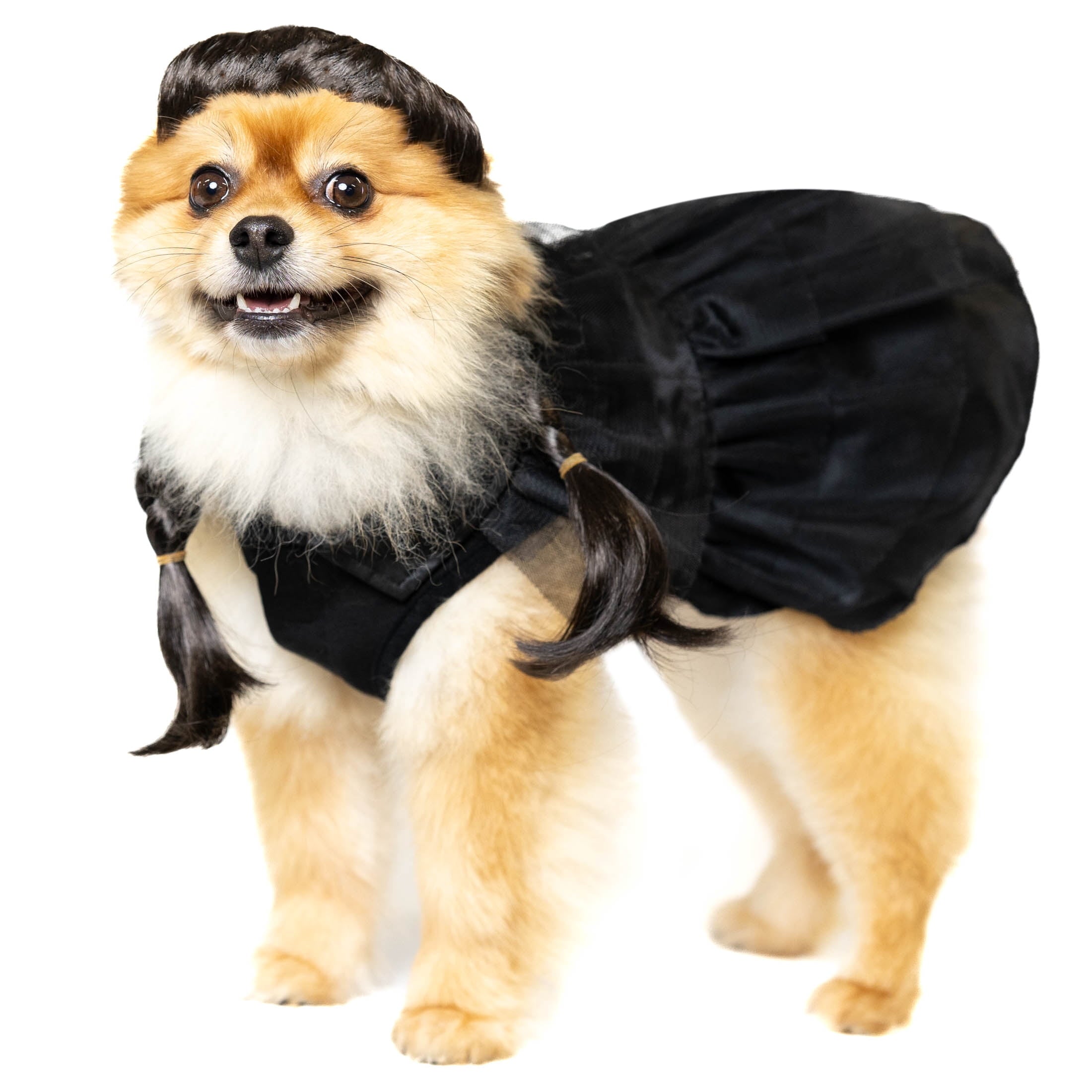 Vibrant Life Halloween Gothic Girl Costume for Dogs, Black, Large