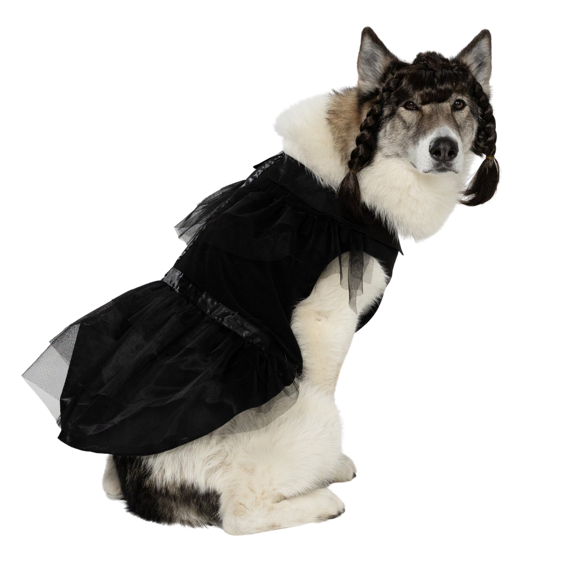 Vibrant Life Halloween Gothic Girl Costume for Dogs, Black, Large