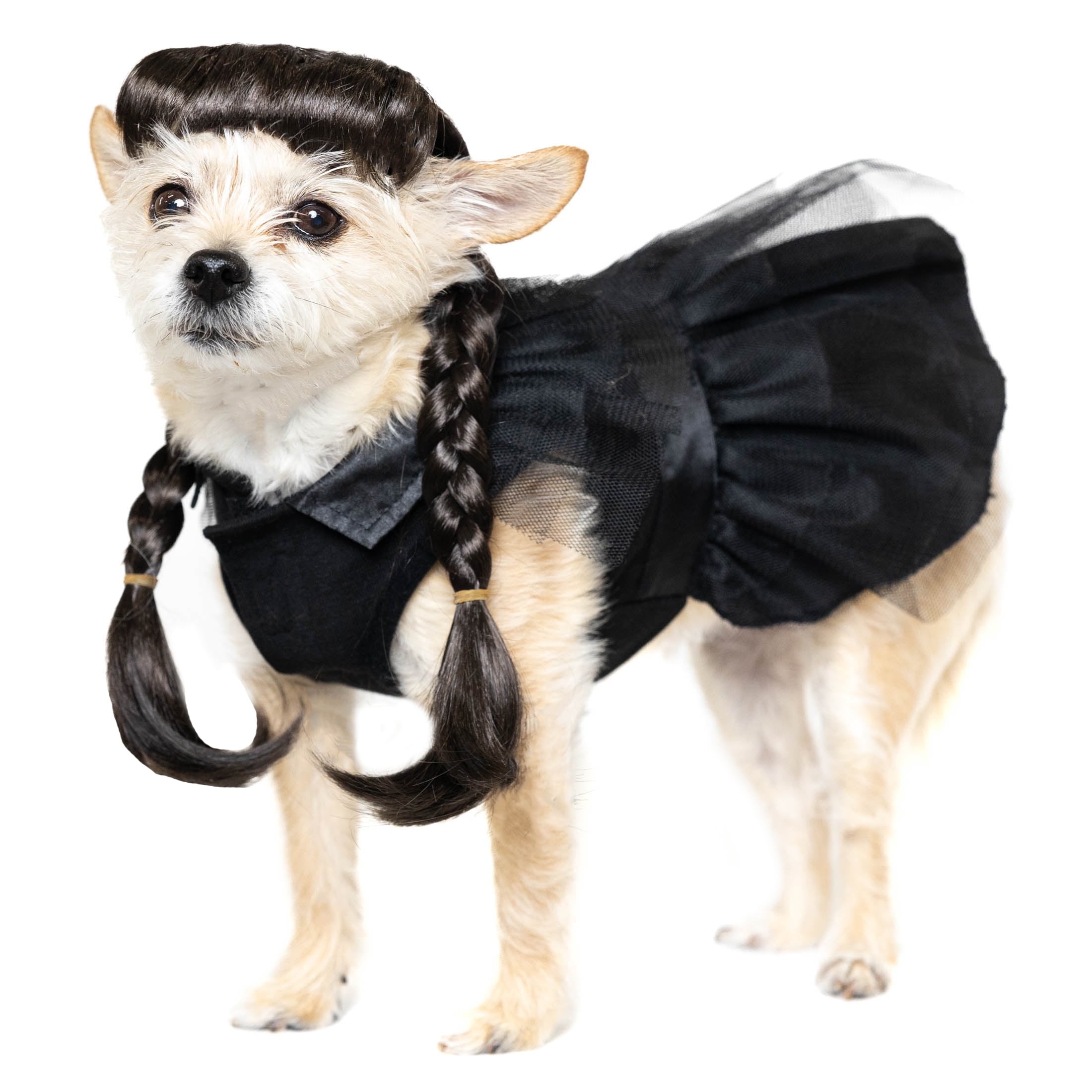 Vibrant Life Halloween Gothic Girl Costume for Dogs, Black, Large