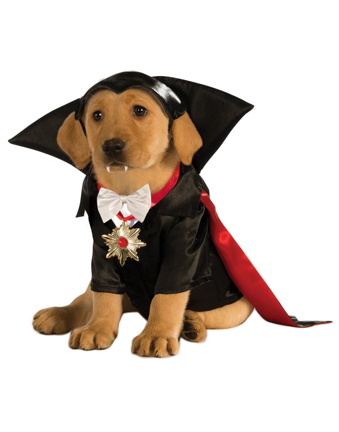 Pet Dracula Costume