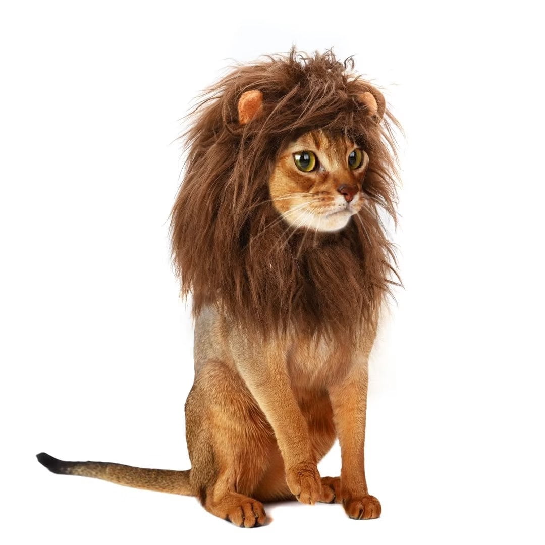 Lion Mane Wig for Cats, Funny Pet Cat Costumes for Halloween Christmas (Size S, Black)