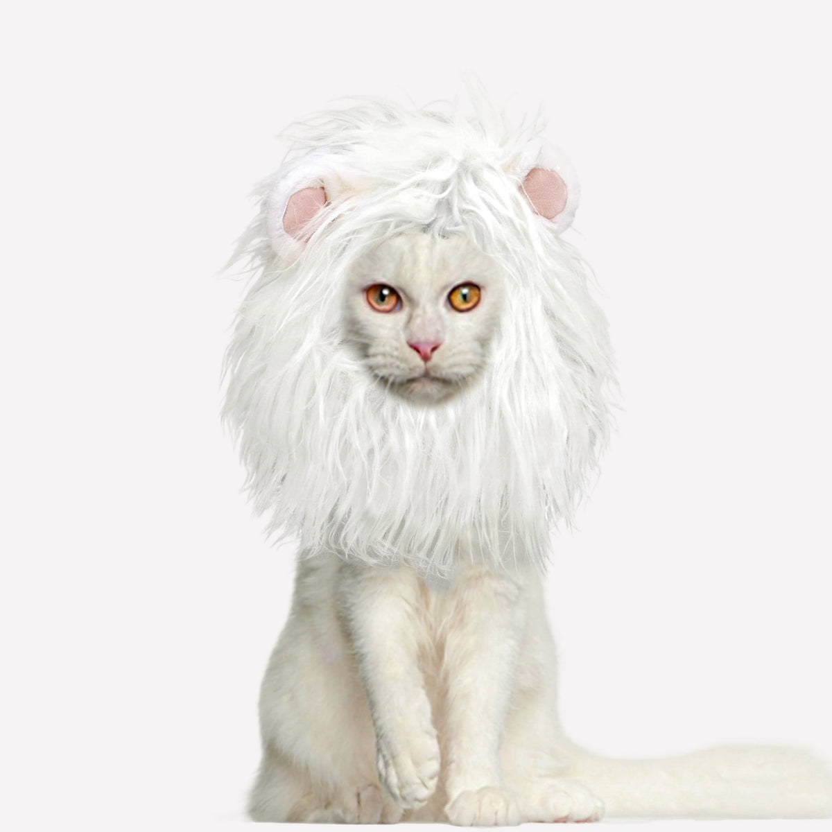 Lion Mane Wig for Cats, Funny Pet Cat Costumes for Halloween Christmas (Size S, Black)