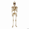 Morris Costumes - 36" Posable Articulated Skeleton Halloween Decoration - One Size